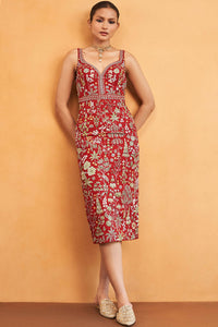 Ballad Of The Wild Pichhwai Dress