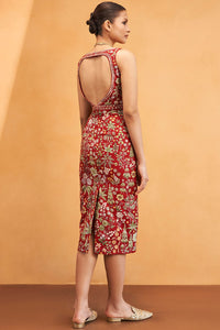 Ballad Of The Wild Pichhwai Dress