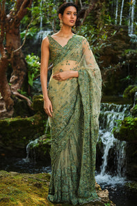 Grassland Embroidered Saree