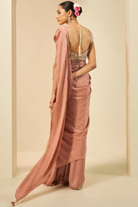 Lesedei Embroidered Pre-draped Chiffon Saree