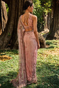 Esmarie Embroidered Saree - Blush