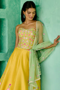 Falak Lehenga Set