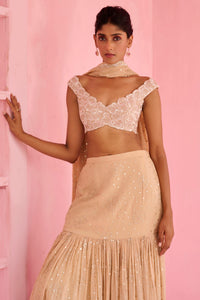 Suhana Pre Drape Saree