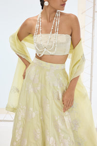 Sylvie Lehenga Set Pistachio