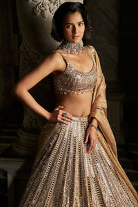 Gold Mirror Work Lehenga Set
