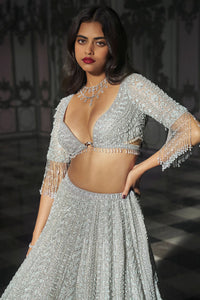 Light Grey Sequin Lehenega Set