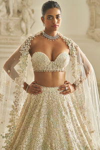 Multi-Coloured Three-Dimensional Lehnega Set