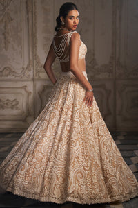 Nude Paisley Lehenga Set
