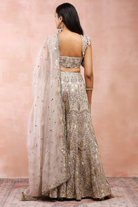 Grey Embroidered Choli With Sharara And Dupatta