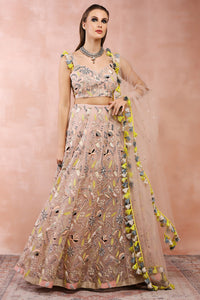 Rose Pink Embroidered Choli With Lehenga And Dupatta