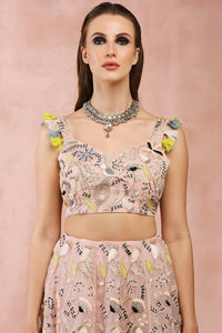 Rose Pink Embroidered Choli With Lehenga And Dupatta