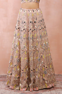 Rose Pink Embroidered Choli With Lehenga And Dupatta