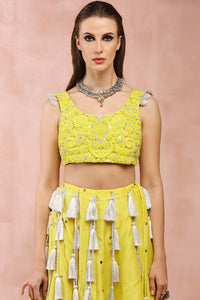 Yellow Embroidered Choli And Lehenga With Dupatta