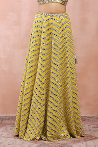Yellow Embroidered Choli And Lehenga With Dupatta