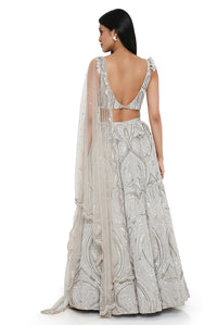 Grey Choli And Lehenga With Mukaish Net Dupatta