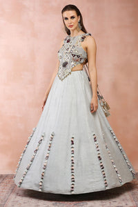 Powder Blue Applique Embroidered Choli With Lehenga
