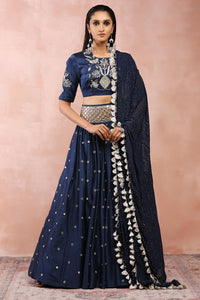 Navy Embroidered Choli And Lehenga With Dupatta