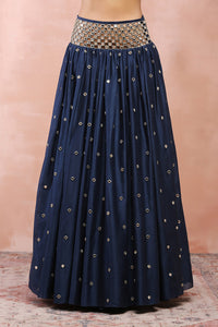 Navy Embroidered Choli And Lehenga With Dupatta