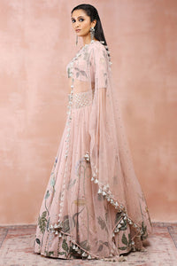 Rose Pink Niloufar Print Choli With Lehenga And Dupatta