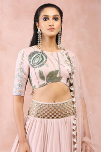 Rose Pink Niloufar Print Choli With Lehenga And Dupatta