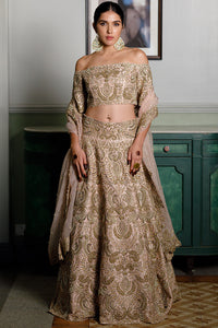 Aida Blush Embroidered Choli And Lehenga Set