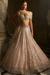 Powder Peach Sequin Lehenga Set