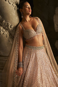Powder Peach Sequin Lehenga Set