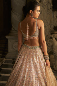 Powder Peach Sequin Lehenga Set