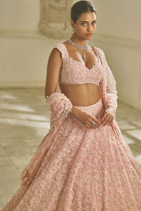 Powder Pink Floral Lehenga Set