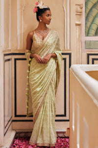 Mint Gold Print Saree With Embroidered Blouse
