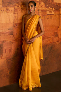 Choli Ke Peeche Saree