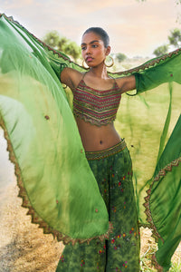 Ranthambhor Sharara Set