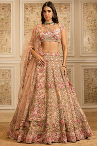 Ameera Pink Lehenga Set