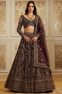 Shahira Plum Lehenga Set