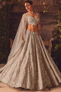 Luminous Lehenga Set