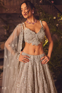 Luminous Lehenga Set