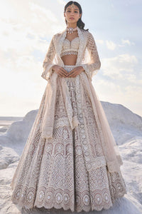 Coffee Silver Lehenga Set