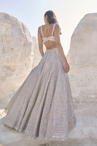 Coffee Silver Lehenga Set