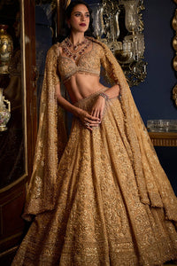 Copper Lehenga Set