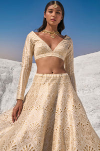 Cream Gold Cut Work Lehenga Set