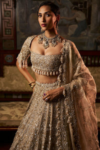 Gold Silver Tissue Lehenga Set