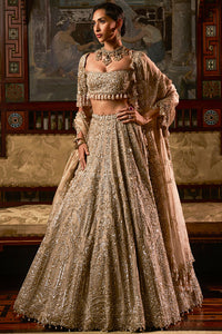 Gold Silver Tissue Lehenga Set