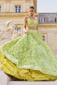 Sage Green Sequin Lehenga Set