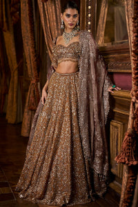 Mustard Tissue Lehenga Set