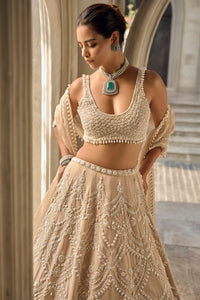 Nude Chandelier Lehenga Set