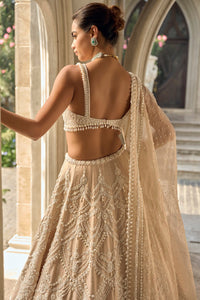 Nude Chandelier Lehenga Set