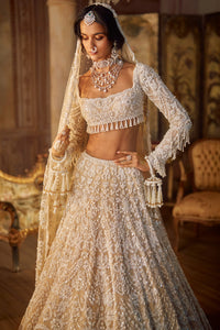 Nude Pearl Lehenga Set