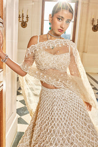 Nude Pearl Drop Lehenga Set