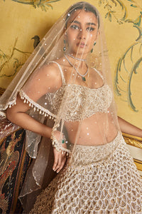 Nude Pearl Drop Lehenga Set
