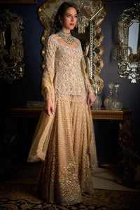 Nude Silver Sharara Set